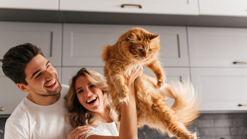 Adotar um gato significa assumir um compromisso de longo prazo. O tempo e a dedicação para cuidar do pet são essenciais, incluindo alimentação, higiene e, claro, muito carinho. Prepare-se para essa nova rotina.