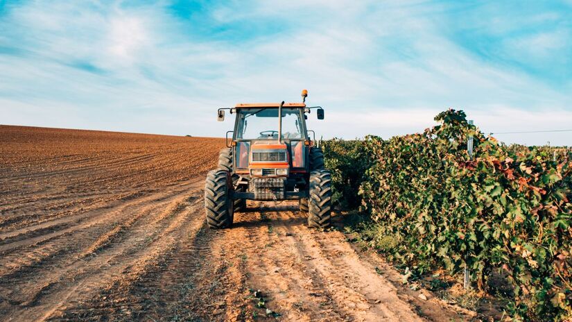 O fluxo de nitrogênio e fósforo vem sendo ultrapassado pela forte produção da agricultura (Fotos: Freepik)