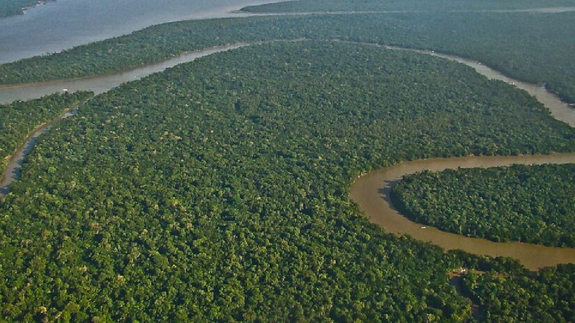 Esses peixes se escondem nas águas amazônicas. Imagem: lubasi/Flickr