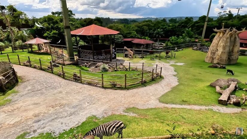 4- Animalia Park