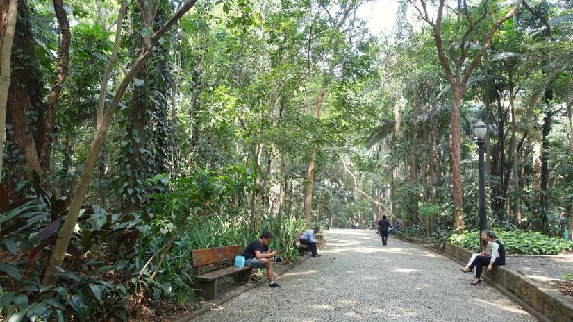 Localizado no coração de São Paulo, mais especificamente na Avenida Paulista, o Parque Tenente Siqueira Campos é apelidado por muitos como Parque Trianon. 