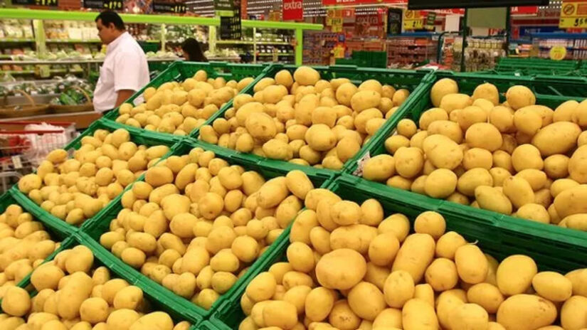 Batata registrou a segunda queda consecutiva, com recuo médio de 31,61% nos 11 mercados analisados. 
Foto: Divulgação/Fotos públicas
