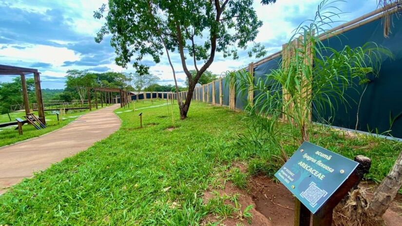 Jardim Botânico Municipal: com 321 hectares preservados e entrada gratuita, inaugurado em 1994, possui trilhas ecológicas, lagos naturais e rica biodiversidade da flora regional, sendo um dos cartões-postais da cidade. Foto: Divulgação/Prefeitura de Bauru
