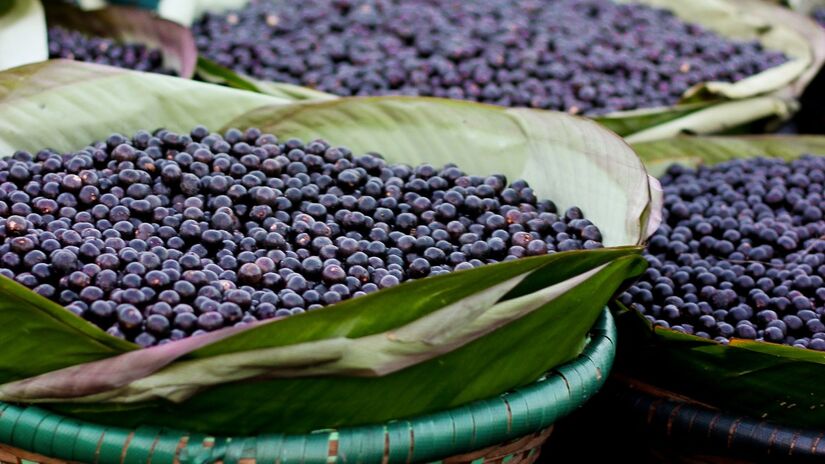 A capital paraense é famosa por sua gastronomia única e sabores da floresta.