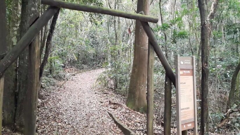 Também na Cantareira, a Trilha da Bica é uma opção mais curta e acessível