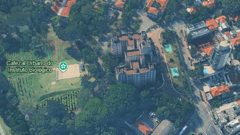 Cafezal fica escondido dentro da cidade. Imagem: Reprodução Google Earth