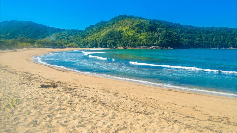 Camburi