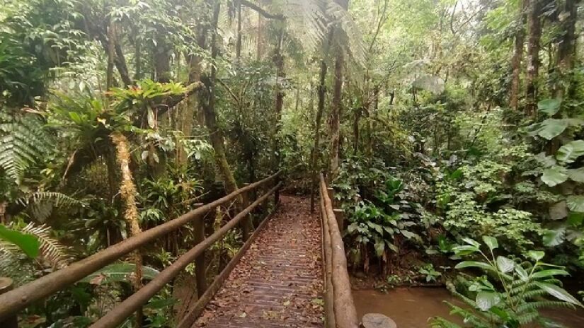 Eldorado faz parte da Região Turística Cavernas da Mata Atlântica. Portanto, fica localizada em uma região serrana muito diversificada e tem mais de 70% de sua área coberta pelo bioma de Mata Atlântica intacta, em excelente estado de conservação - (Reprodução/YouTube)