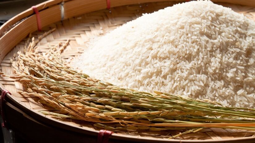 De café a arroz, cidade paulista virou referência nacional no grão