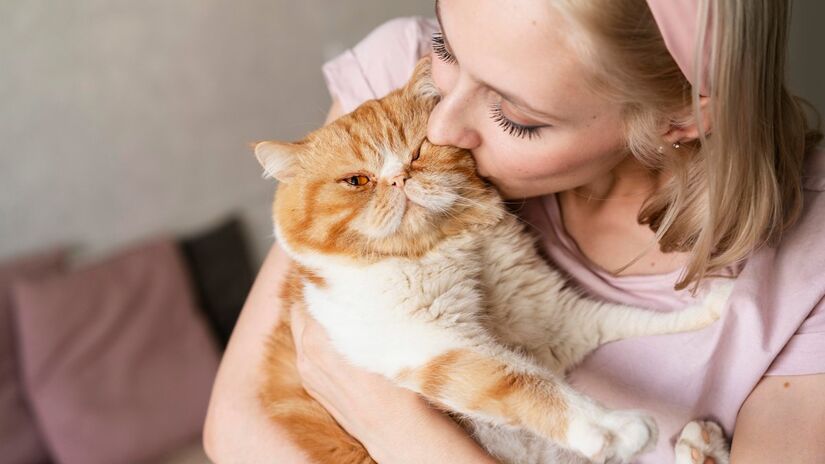 Um gato traz despesas. Pense nos gastos com veterinário, ração de qualidade e acessórios como brinquedos e arranhadores. O planejamento financeiro garante que você possa dar ao seu amigo os cuidados necessários.