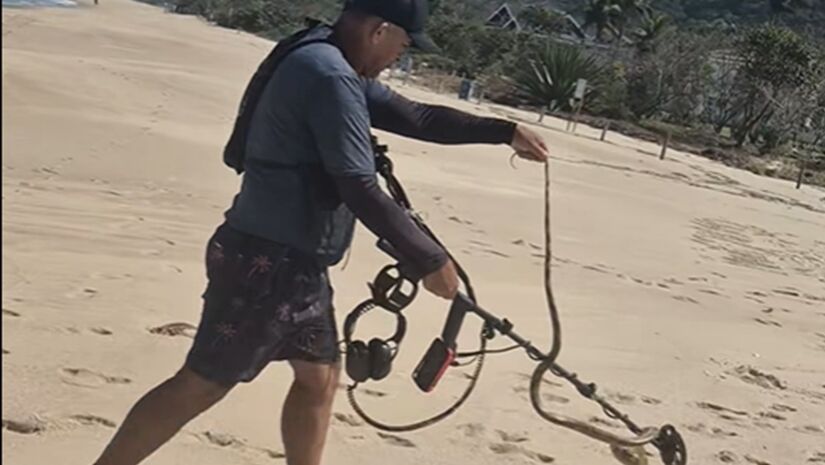 Um morador conseguiu retirar a caninana do mar e devolver o animal à mata/Reprodução