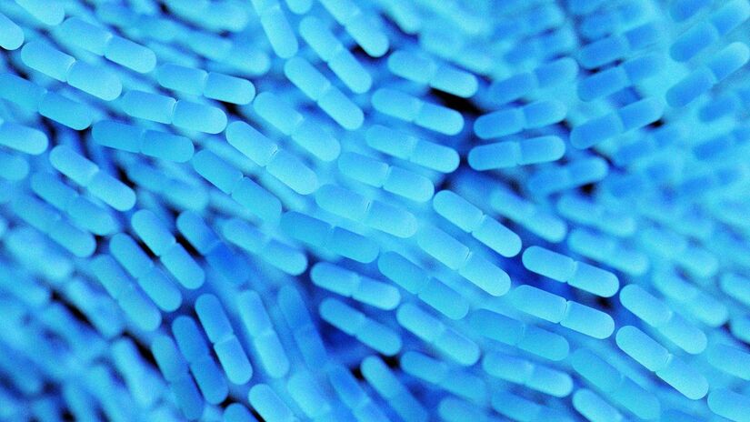 Os primeiros experimentos foram feitos em células-tronco cultivadas e, com o avançar da pesquisa, com células da pele de pessoas com a síndrome