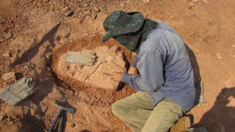 O paleontólogo William Nava encontrou uma ninhada de ovos fossilizados de dinossauros carnívoros