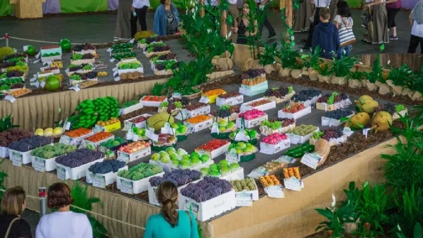 Junto com a cidade de Vinhedo, a cidade organiza a tradicional Festa da Uva, um dos principais eventos de uva e vinhos - (Divulgação/PMV)