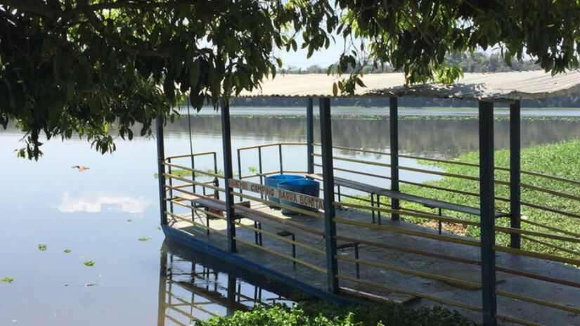 Situado às margens da represa de Barra Bonita, o Anhembi Camping também é outra ótima opção de pesca no estado de São Paulo. 

Com uma imensa área verde, o camping oferece uma experiência completa para os pescadores que buscam momentos de tranquilidade e diversão em meio à natureza.

Endereço: Estrada Municipal do Camping  s/n  Anhembi  São Paulo

