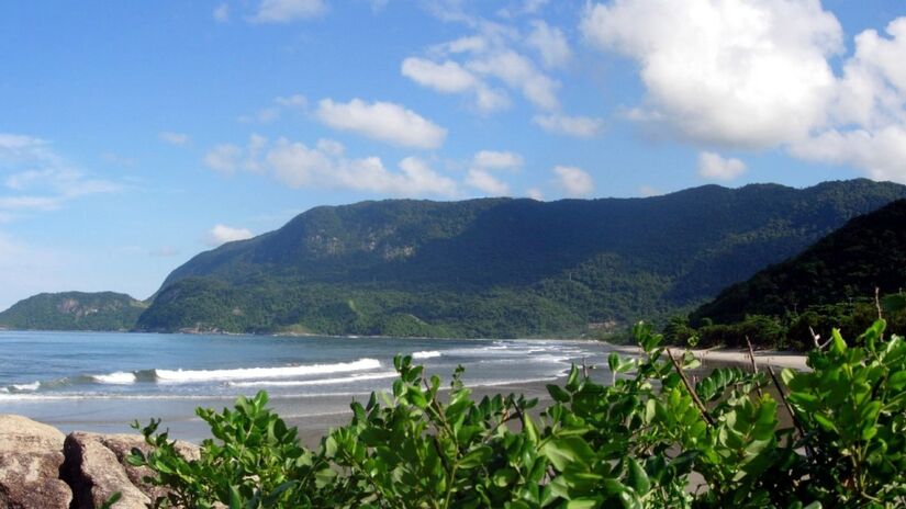 Guaecá