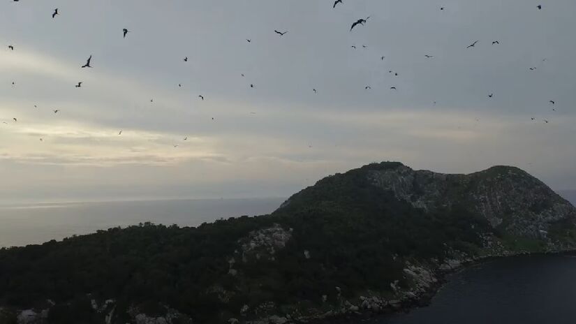 A dificuldade em conhecer mais sobre o local já começa no momento de visitar, uma vez que o desembarque na Ilha das Cobras é de extrema dificuldade devido à presença de diversas rochas escorregadias. É proibido visitar a ilha sem autorização - (Reprodução/YouTube)