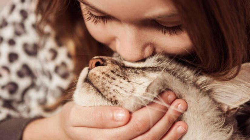 O gato é um animal territorialista, por isso, ele precisa de um espaço que seja seguro, confortável e adequado às suas necessidades.