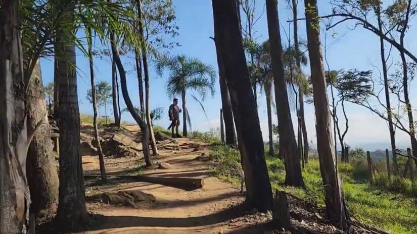 No Parque Estadual do Jaraguá, a Trilha do Pai Zé é o caminho mais desafiador