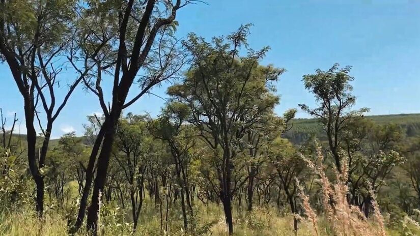 Durante o trajeto, os aventureiros podem apreciar a fauna e flora da região