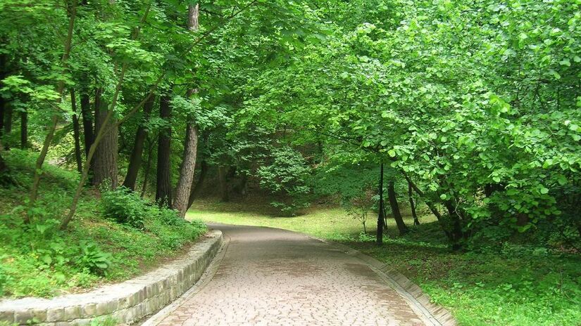 Para quem prefere romances tranquilos, que tal um parque? Imagem: Pixnio