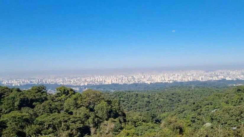 Com aproximadamente 9 km de extensão, a Trilha da Pedra Grande é a mais procurada do Parque Estadual da Cantareira