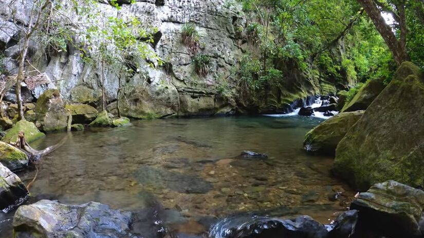 Além das cavernas, o Petar é rico em cachoeiras e trilhas. As Cachoeiras do Sem Fim, em Iporanga, oferecem três quedas d'água para um mergulho refrescante. A Cachoeira das Arapongas, em Apiaí, é ideal para atividades de aventura como rapel e cascading.