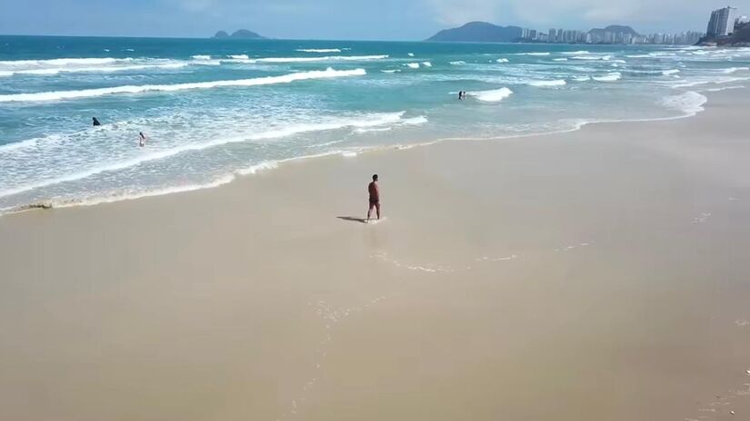 Em Guarujá, essa discussão ganhou mais força após uma pesquisa identificar cerca de 250 mil aves circulando pela cidade