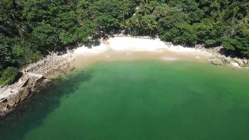 A investigação em Guarujá faz parte de uma série de estudos realizados desde 1995 pela mesma equipe (Fotos: Youtube/Reprodução)
