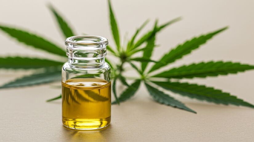 Óleo de CBD é extraído da Cannabis. Imagem gerada por inteligência artificial