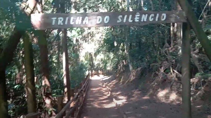 Trilha do Silêncio - O nome da trilha se deve à presença de uma vasta vegetação que abafa a maior parte dos ruídos produzidos pelas rodovias que cercam o parque do Jaraguá. Uma opção tranquila e que vale a pena ser aproveitada sozinho ou em família. Endereço: Rua Antônio Cardoso Nogueira, 539  Vila Chica Luiza - (Reprodução/YouTube)