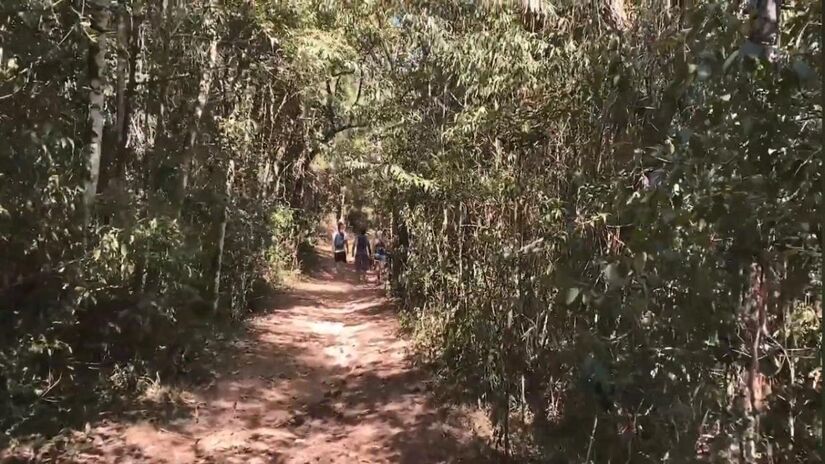 As trilhas de Itararé são planejadas para conectar os visitantes à diversidade ambiental da região (Fotos: Youtube/Reprodução)