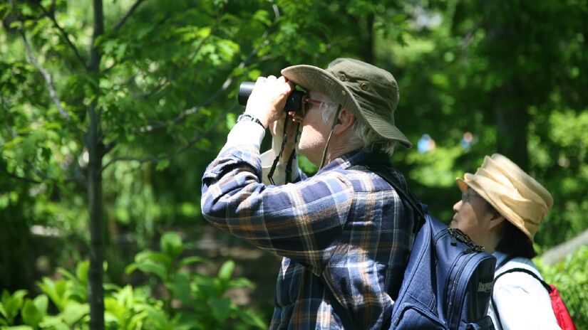 O verdadeiro valor do birdwatching está na comunidade. Imagem: Daniel Schwen/Wikimedia Commons