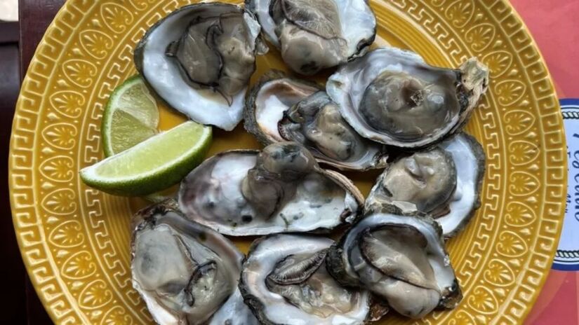 De domingo, o prato extra é macarrão com camarão no queijo parmesão grana padano. Foto: Divulgação