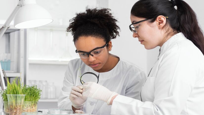 A ciência tem se dedicado a entender com mais profundidade como o cérebro envelhece e quais fatores biológicos estão envolvidos nesse processo (Fotos: Freepik)