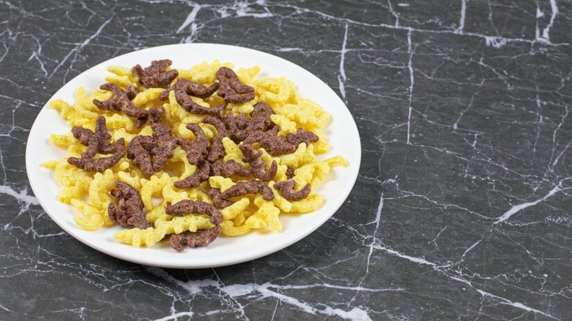 De massas a sobremesas, chefs apostam em receitas criativas com grilos, gafanhotos e larvas para desafiar paladares e hábitos tradicionais (Fotos: Freepik)