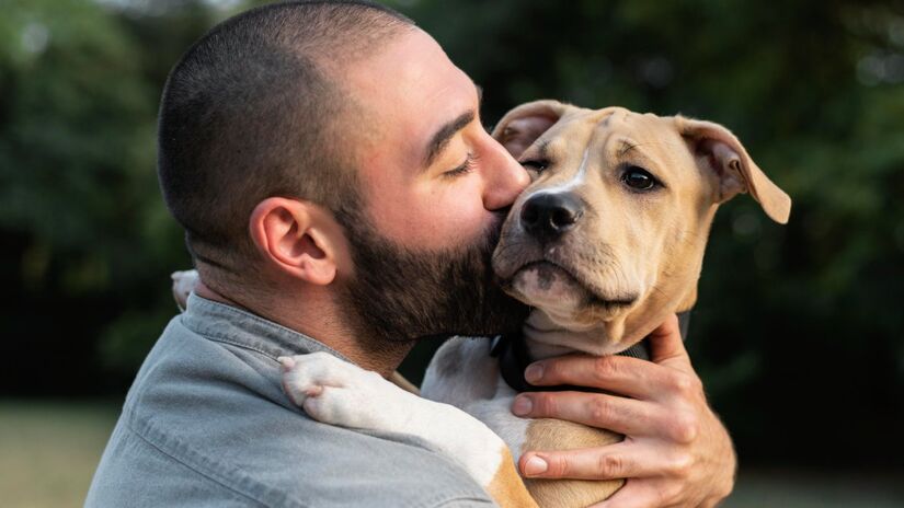 O estudo revelou que as barbar masculinas podem deixar mais bactérias onde passam que pelos de cachorros (Fotos: Freepik)