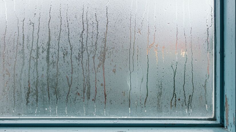 O truque é simples: basta pegar um recipiente vazio e enchê-lo de sal. Feito isso, o coloque nas janelas, de preferência as que tem um espaço mais próximo do vidro - (Imagem gerada por IA)