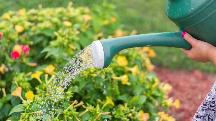 A jardinagem é um exercício de paciência. Imagem: PxHere
