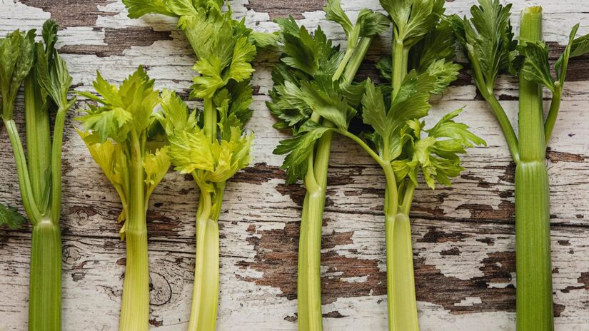 Aipo: O aipo oferece vários benefícios para a saúde devido ao seu alto teor de vitaminas (A, B, C, K), minerais (potássio, cálcio) e compostos antioxidantes e anti-inflamatórios, como os flavonoides e ftalídeos. Ele ajuda a regular a pressão arterial, a fortalecer o sistema imunitário, a melhorar a digestão e a função hepática, além de ter um efeito diurético e ser um aliado na perda de peso por ser de baixa caloria. 