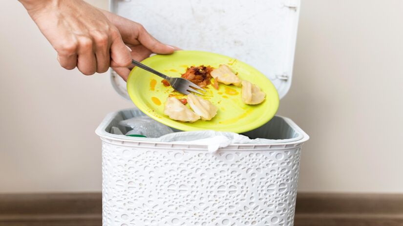 Quando o lixo não é devidamente fechado ou os alimentos ficam mal armazenados, o problema se intensifica (Fotos: Freepik)