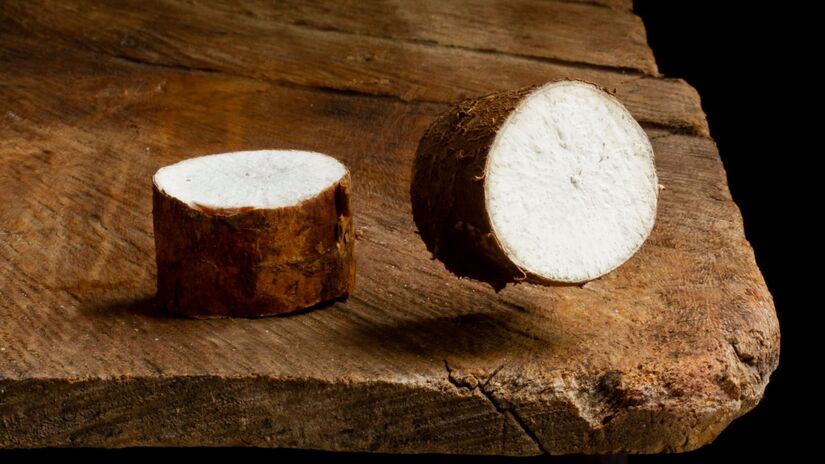 Além do consumo direto, a mandioca também dá origem a produtos derivados, como a tapioca, feita a partir do amido extraído da raiz. 