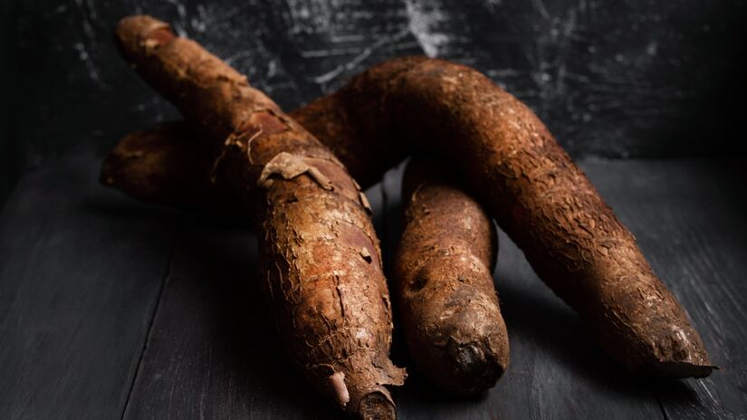 A mandioca é composta por 20% a 40% de amido, até 5% de açúcar e cerca de 2% de proteína. Em 100 gramas, o alimento fornece aproximadamente 160 calorias, quantidade superior à das batatas comuns ou doces. Fotos: Freepik