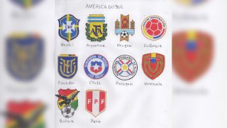 A iniciativa pela coleção surgiu em 2001, ao encontrar um jornal com alguns escudos do "Clube dos 13".