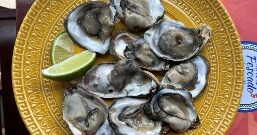 As quintas-feiras e sábados o prato extra são ostras frescas. Foto: Divulgação