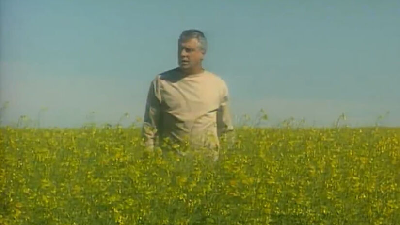 Otávio acordará em um lindo campo florido, um local de paz muito diferente do qual Alexandre se encontra. Fotos: Reprodução/TV Globo