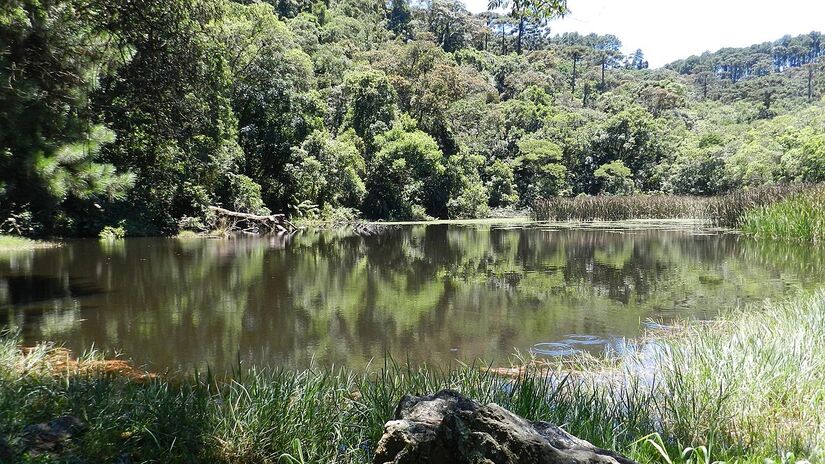 Já o Núcleo Águas Claras, localizado no município de Mairiporã, é um setor mais voltado para a educação ambiental (com foco na preservação dos rios) - (Euripedesjr/Wikimedia Commons)