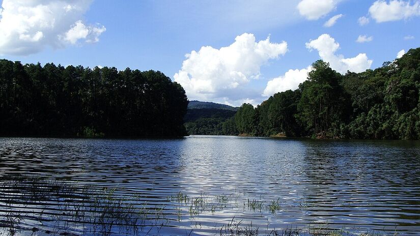 O núcleo Cabuçu, que fica no município de Guarulhos, é o mais novo de todos. Foi aberto para visitação em 2008 e conta com cerca de 1/3 da área do parque (ou 1.619,4 hectares) - (silvioemanuel/Wikimedia Commons)