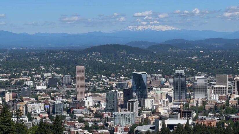 Em Portland, Oregon, Estados Unidos, os BIDs se materializam nos chamados distritos de serviços aprimorados (ESDs) 