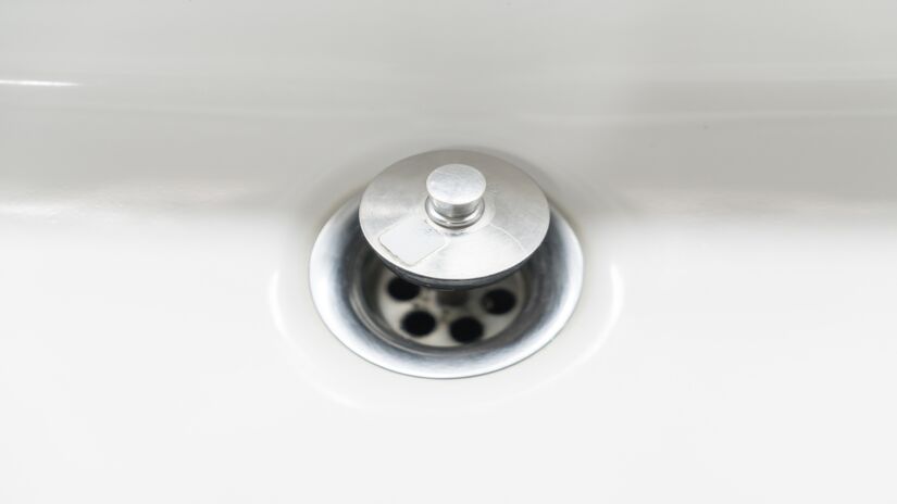  No estado larval, as moscas se alimentam de restos de pele e cabelos que se acumulam no ralo, fazendo um papel de "encanador"